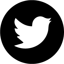 twitter icon